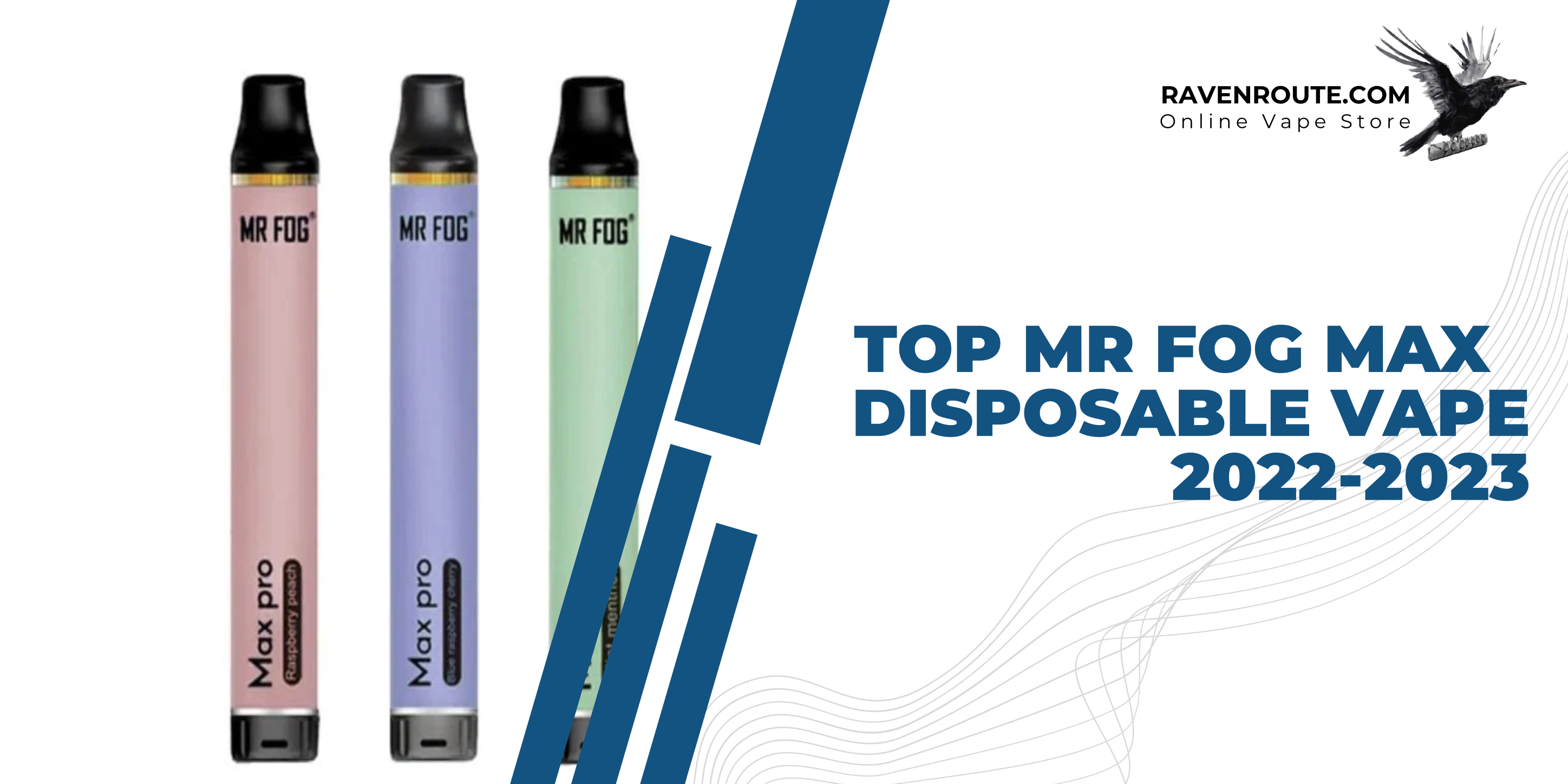 Top Mr Fog Disposable Vape 2022-2023