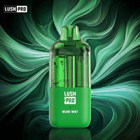 Thumbnail for Lush Pro Pod Miami Mint - Raven Route